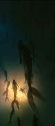Mermaid 