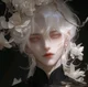 Ashen Veyl