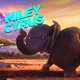 Miley Cyrus Elephant