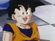 Son gohan