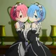 Rem y ram