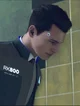 Connor DBH