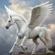 Own pegasus 