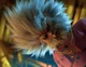 Sun Wukong-Reborn