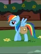 Rainbow Dash 