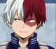 Shoto Todoroki
