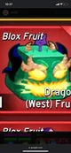 Western Dragon Fruit
