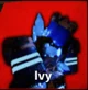 Ivy