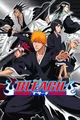 Bleach 