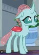 Ocellus