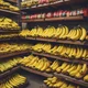 Banana shop