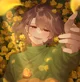 Chara