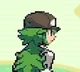 PKMN -N HARMONIA