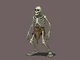 Skeleton