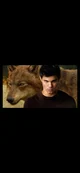 Jacob Black 
