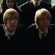 Weasley Twins 