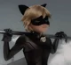 Chat Noir