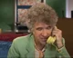 Dan Zanes