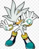 Silver the Hedgehog 