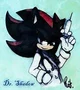 Shadow the Hedgehog