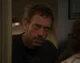 GREGORY HOUSE - MLM