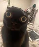 Request