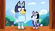 BLUEY AND ROXY