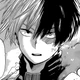 Shoto Todoroki