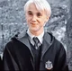 5th year Draco 