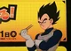 020 VEGETA 