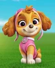 Skye PAW Patrol