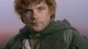 Samwise Gamgee