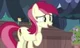 Roseluck 