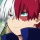 Shoto Todoroki