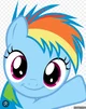 Rainbow Dash 