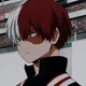 Shoto Todoroki 