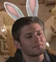 Bunny Dean Wincheste