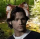 Deer Sam Winchester 