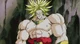 Broly