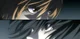 Light Yagami and L