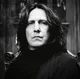 02 SEV SNAPE