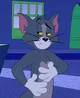 Tom The Cat
