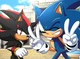 Sonic and Shadow 