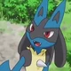 Lucario