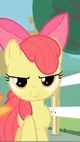 Apple Bloom