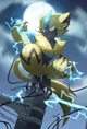 Zeraora 
