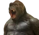 Kong