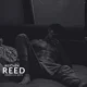 Reed Reichen 