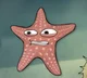 STARFISH