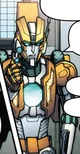 Rung